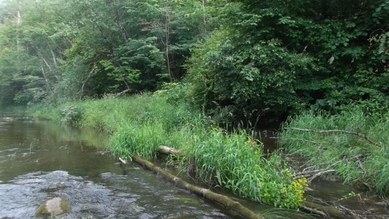 DSCF2781.JPG