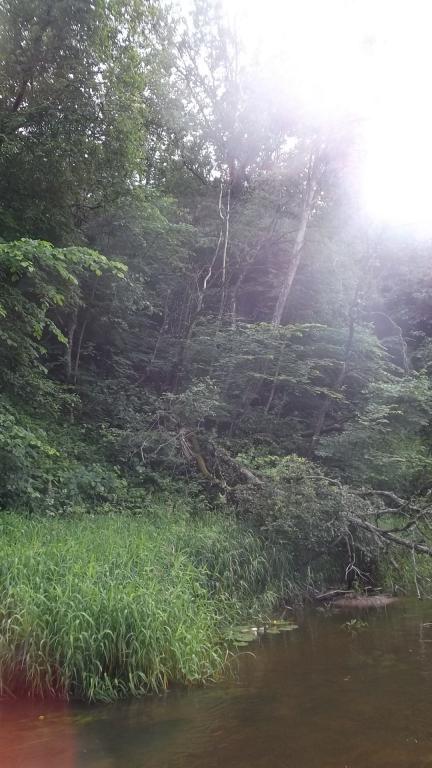 DSCF2779.JPG
