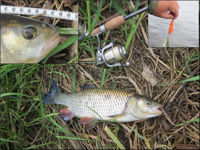 20140629 0002.jpg