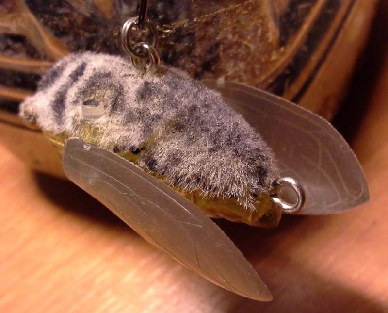 siglet fur.JPG