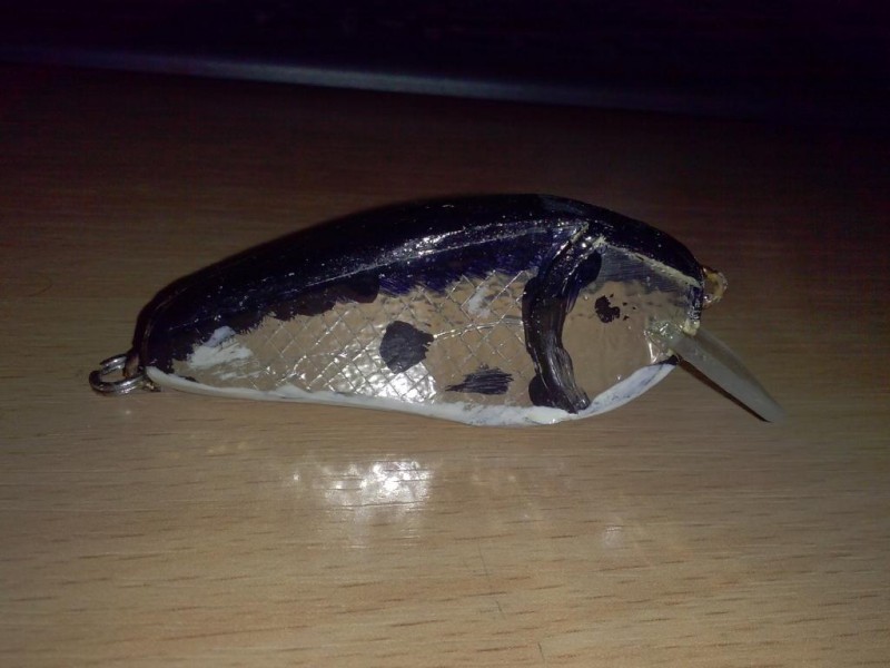 CAM01066.jpg