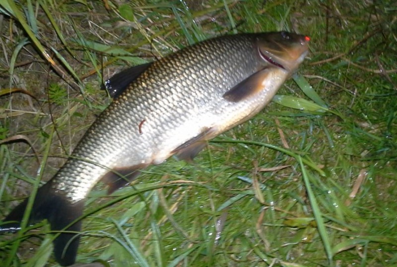 20140705_224235.JPG