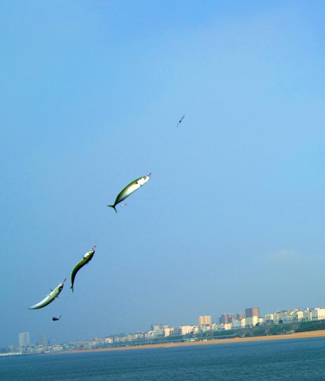 DSC01997.jpg