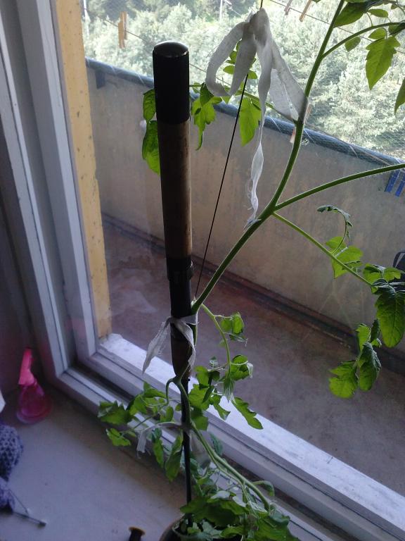 CAM01082.jpg