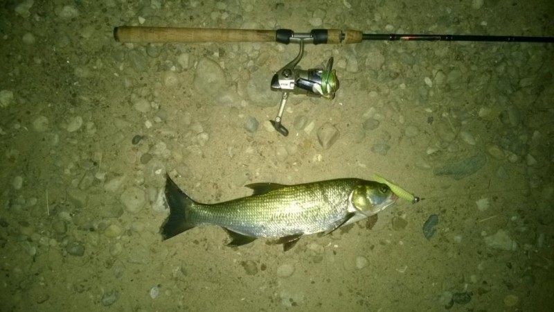 WP_20140728_003.jpg
