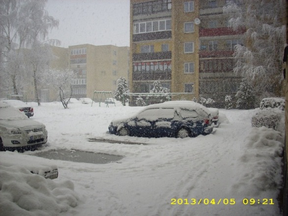 DSCI1557.JPG