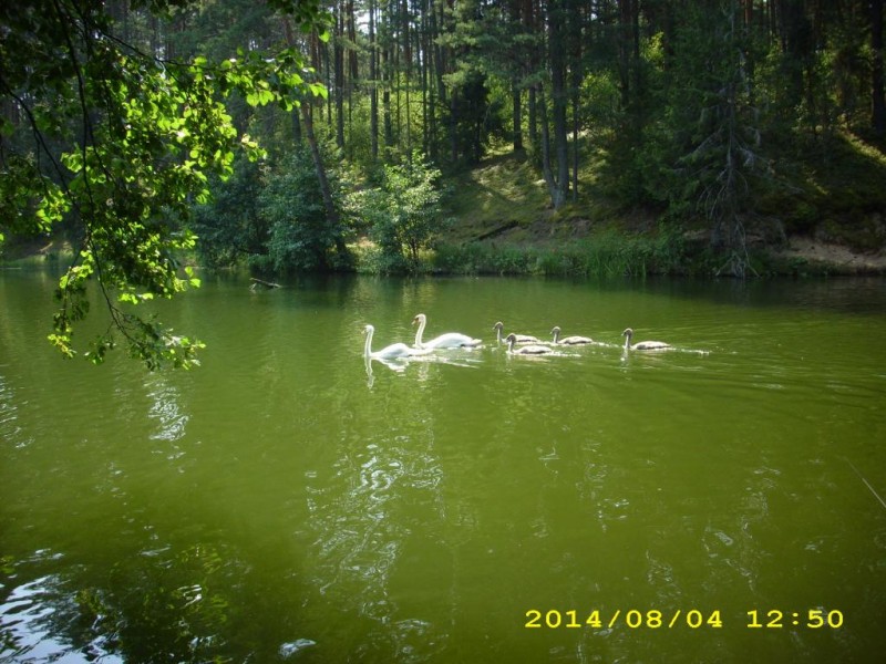 DSCI0721.JPG