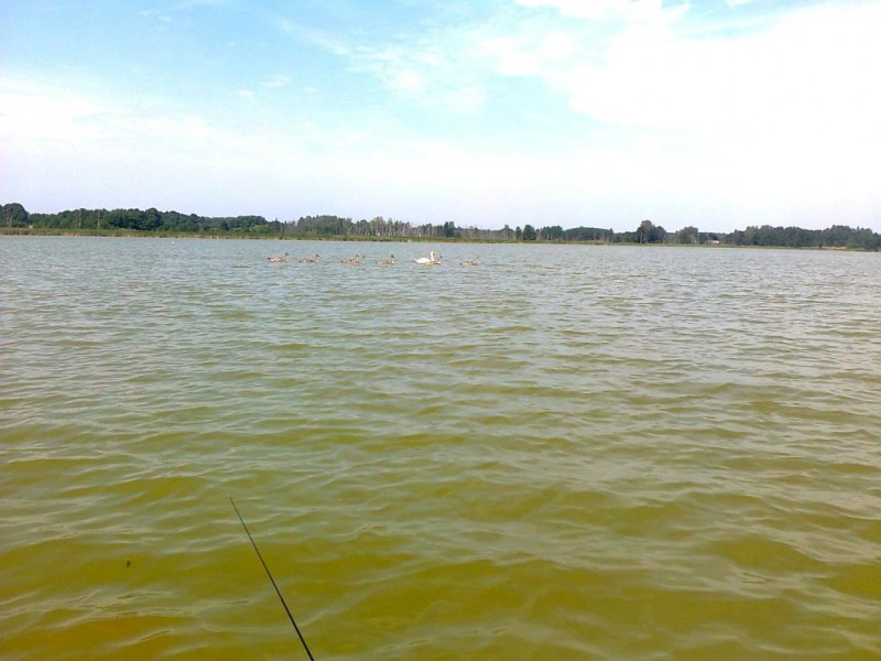 Nuotrauka0903.jpg