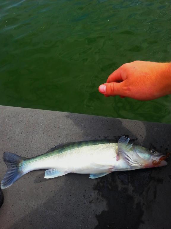 20140808_115233.jpg