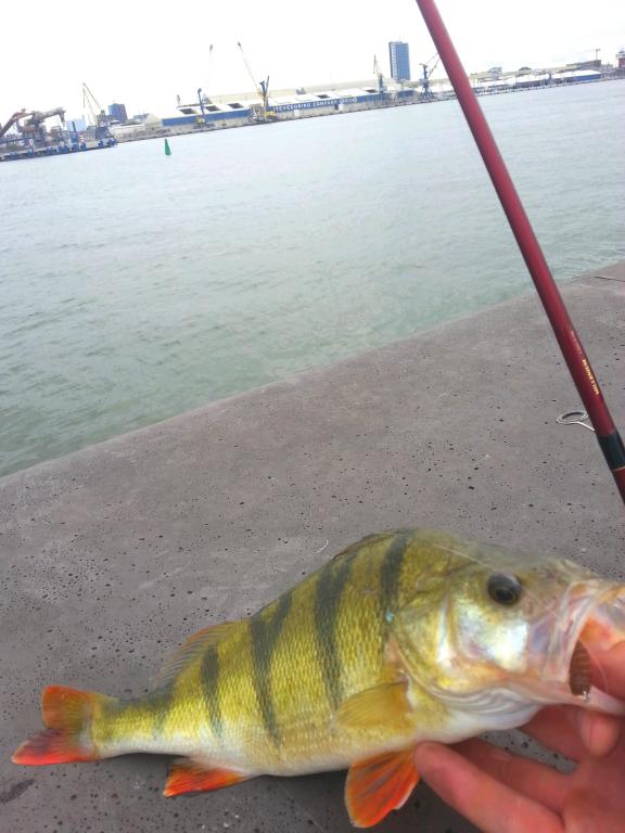 20140808_122331.jpg