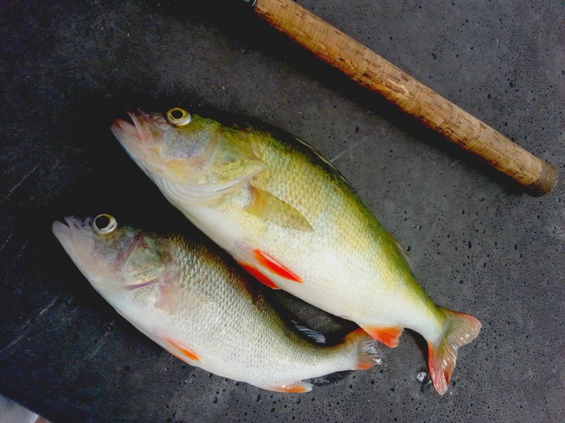20140808_121040.jpg
