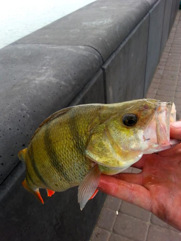 20140808_133314.jpg