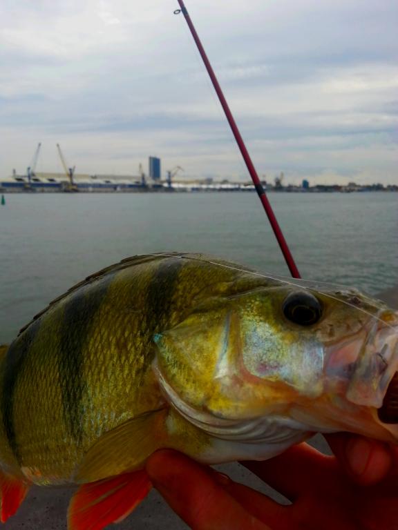20140808_122321.jpg