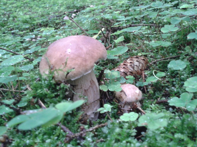 2014-08-20 08.17.54.jpg