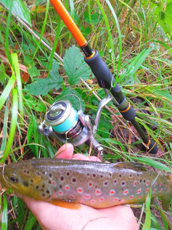 20140820_133133.jpg