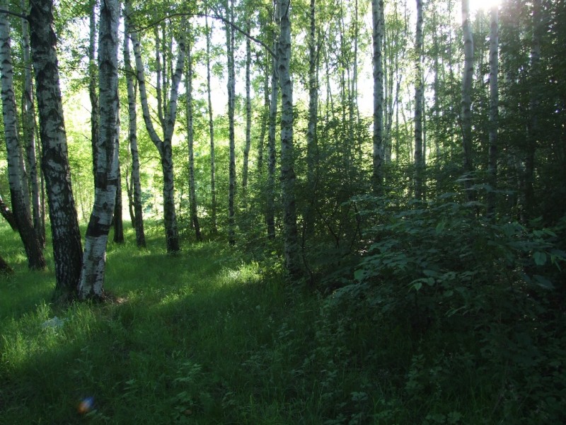 DSCF5530.JPG