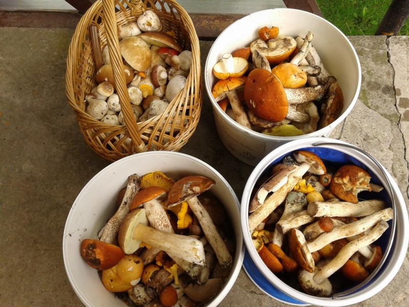 20140826_131045.jpg
