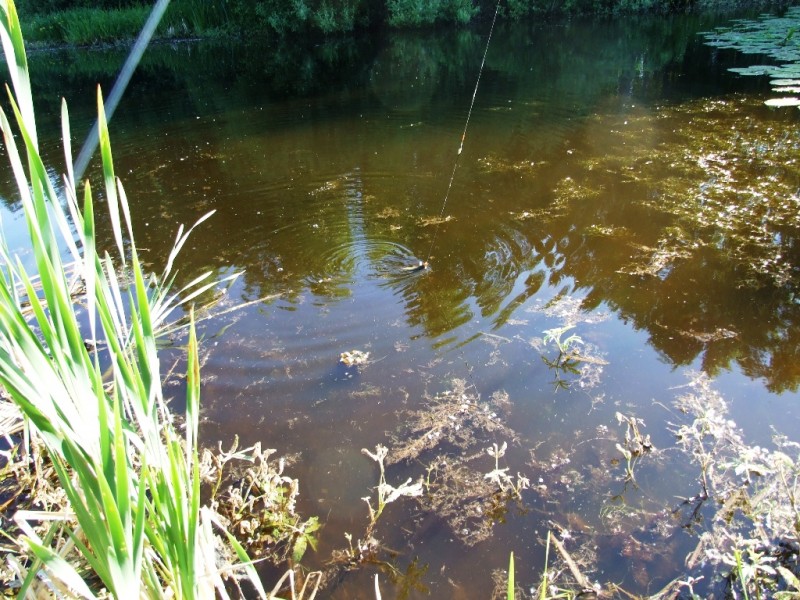 DSCF5534.JPG