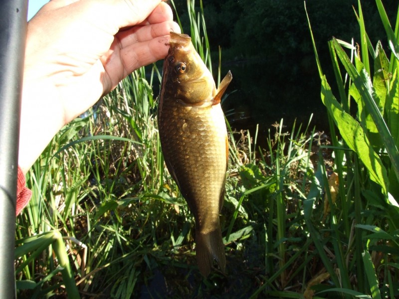 DSCF5541.JPG