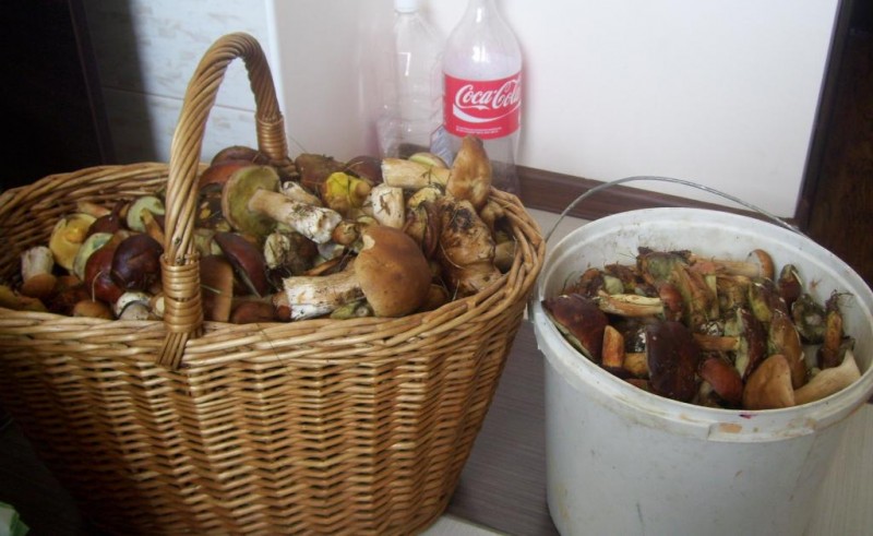 100_3688.JPG