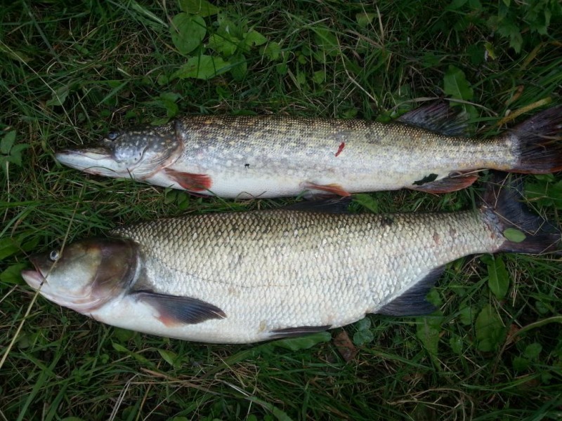 20140830_155711.jpg
