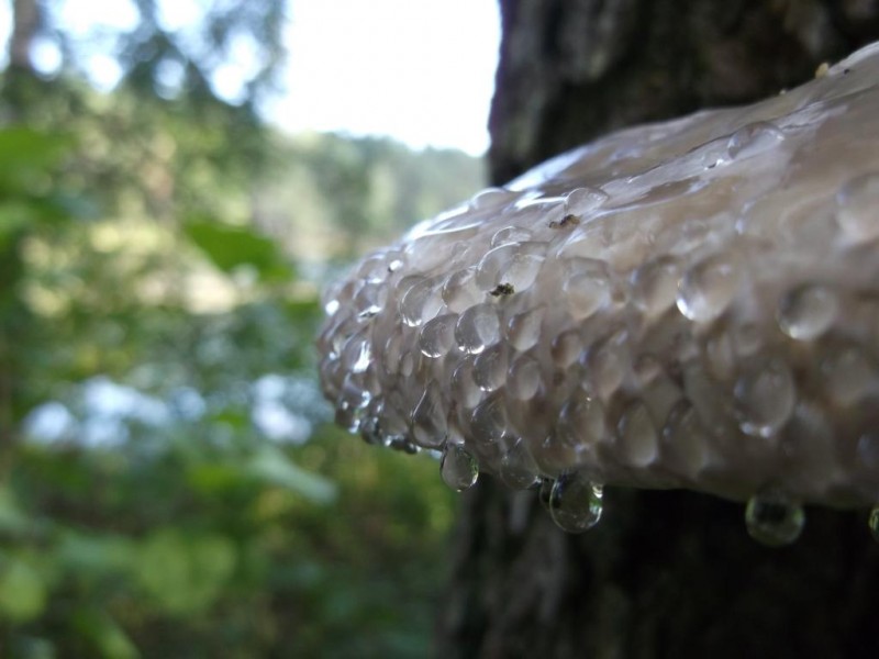 DSCF2728.jpg