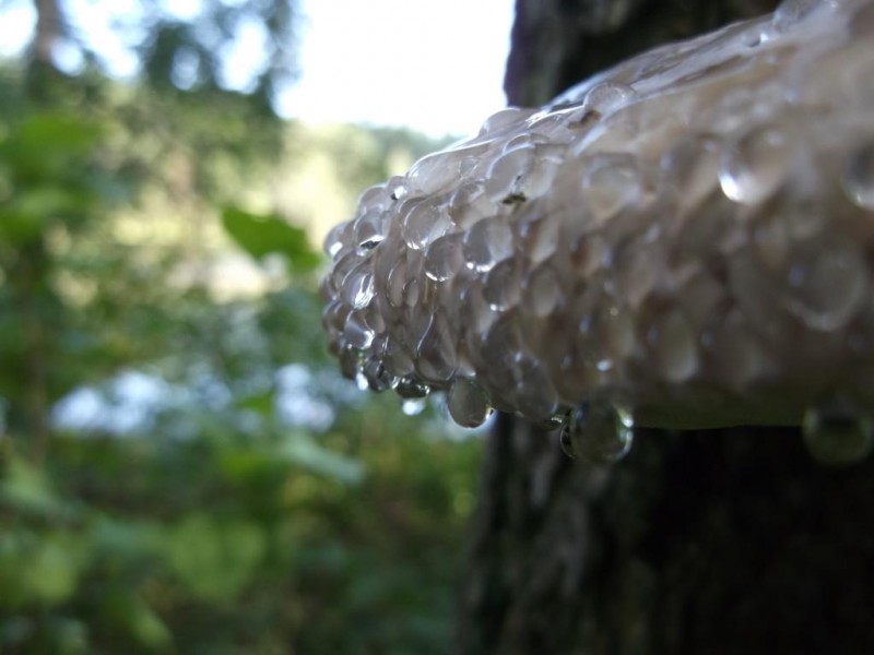 DSCF2729.jpg