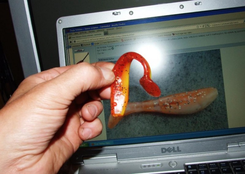 DSCF5512.JPG