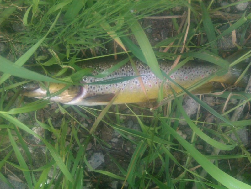 IMAG0388.jpg