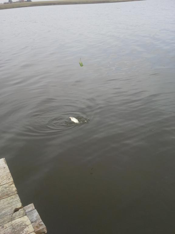 20141011_103438.jpg