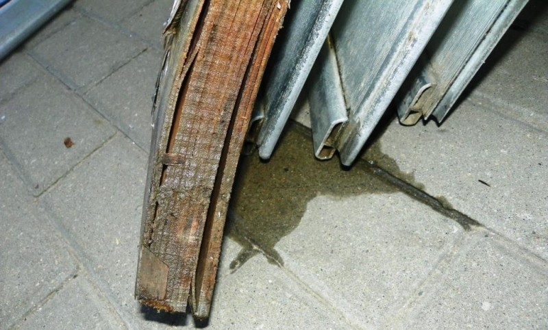 Runos 380 10.14.6.jpg