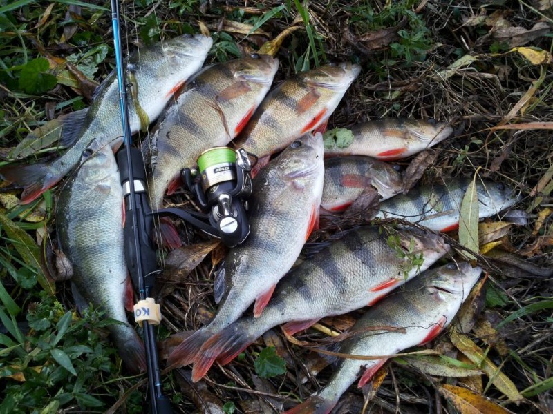 20141018_165246.jpg