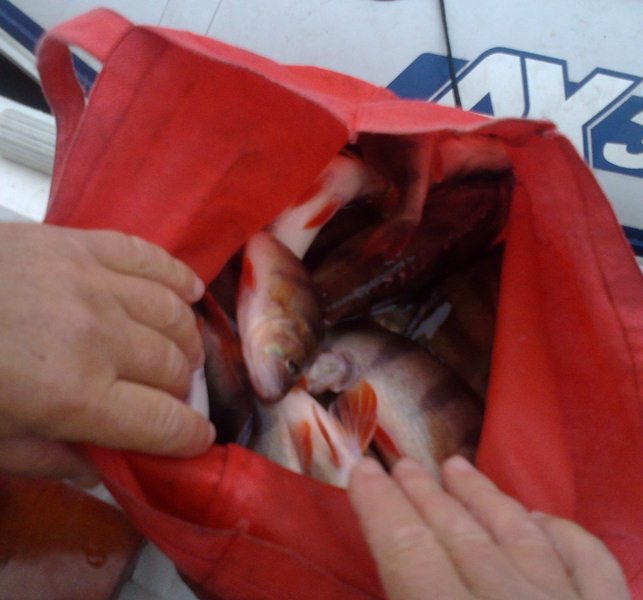 20141011-4.jpg