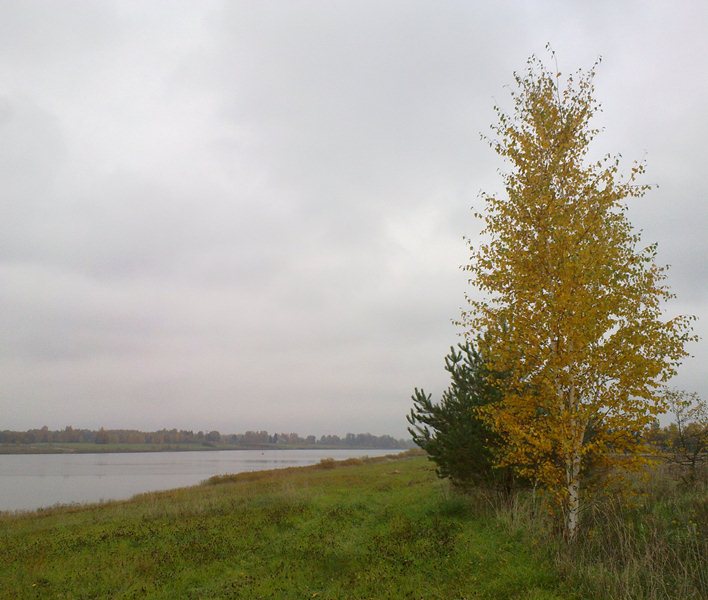 20141012-10.jpg