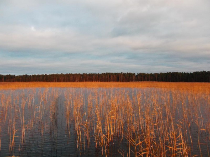 DSCF2950.JPG