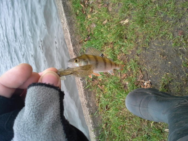 20141116_121440.jpg