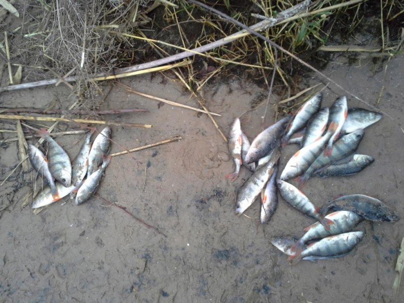 20141116_144034.jpg