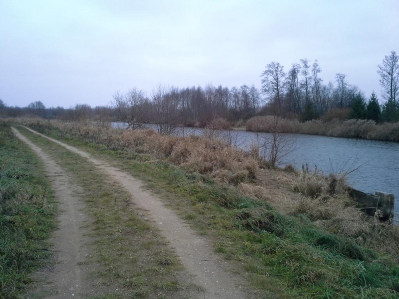 20141116_145028.jpg