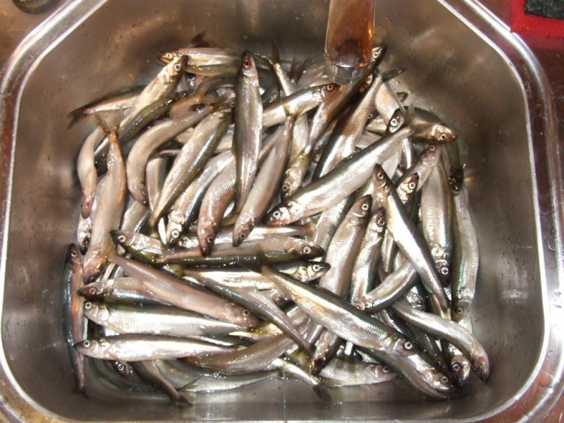 DSCF5954.JPG