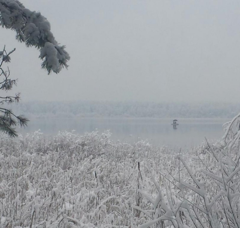 20141122_100024-1.jpg