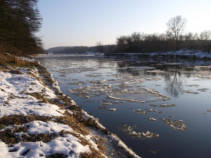 DSCF3145.jpg