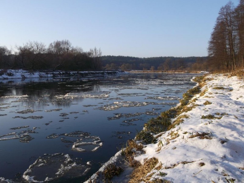 DSCF3146.jpg