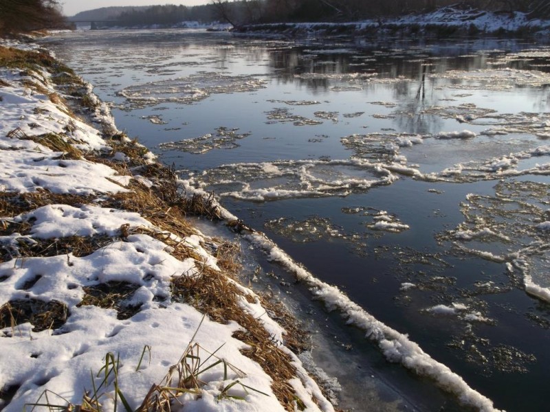 DSCF3147.jpg