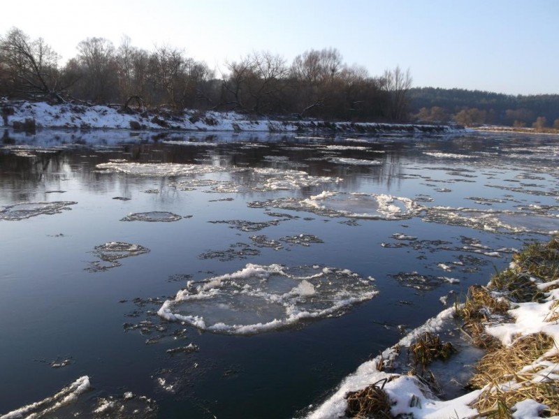 DSCF3150.jpg