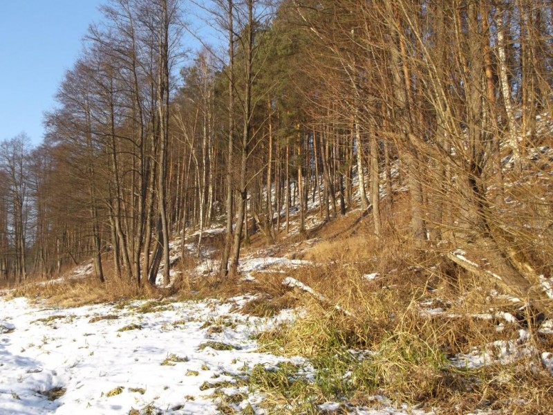 DSCF3153.jpg