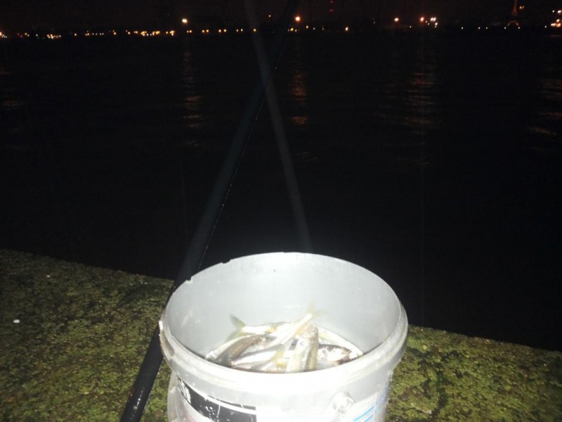 20141222_041813.jpg