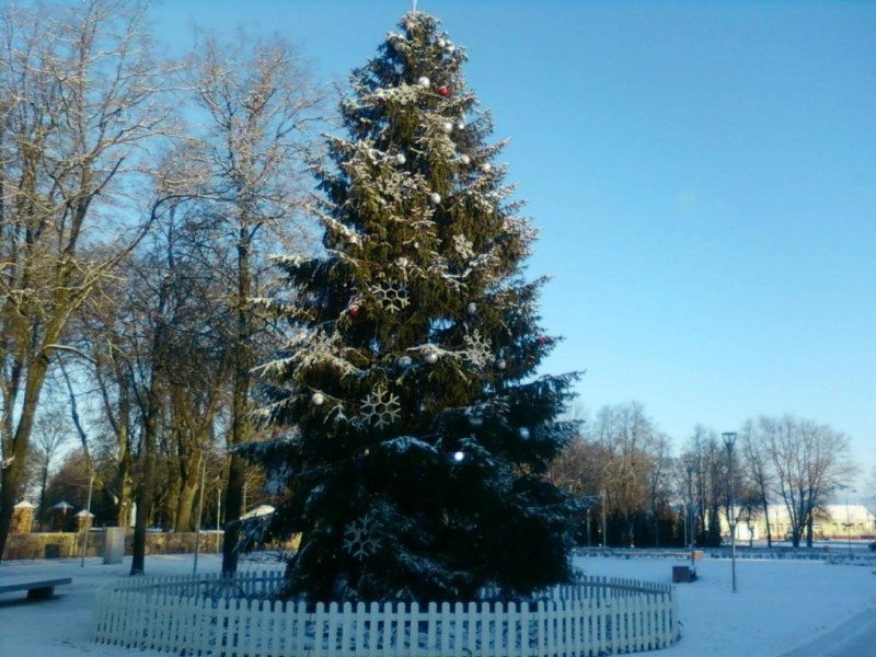 Nuotrauka0228.jpg