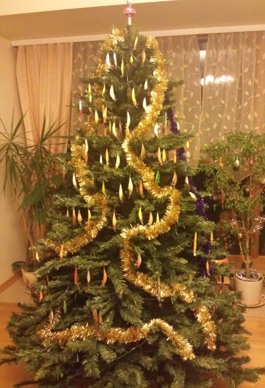 20141225_175426-1.jpg