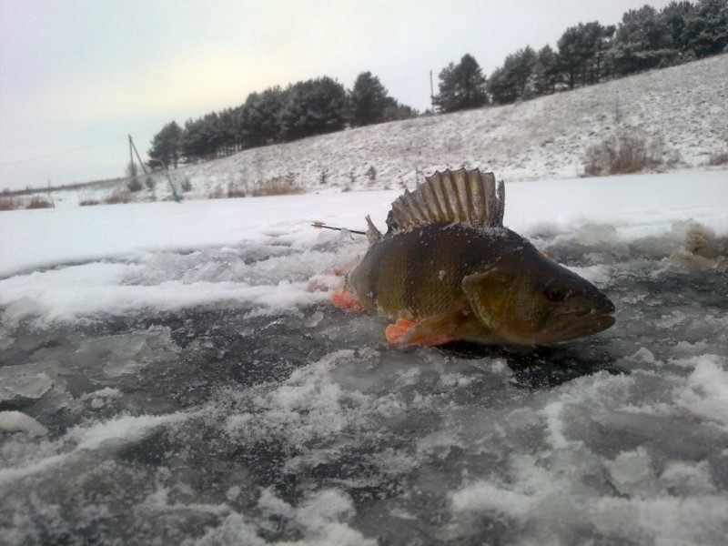 20141230591.jpg