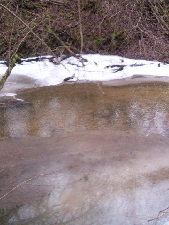 CAM00304.jpg